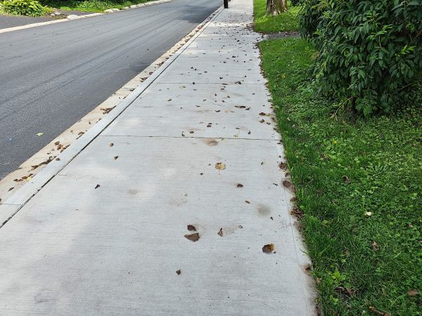 Cost of Sidewalk Renovation in Metairie