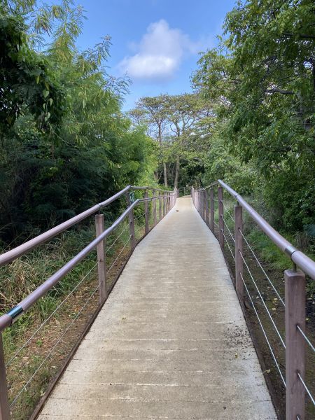 Cost of Footpath Construction in Metairie