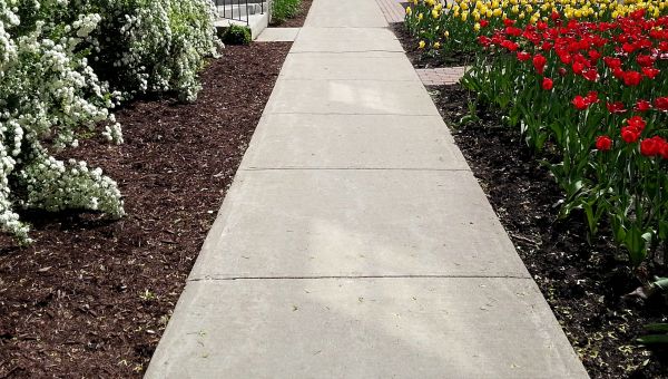 Cost of Sidewalk Slab Replacement in Metairie